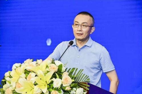 刘华爆料茶叶视频大全集,茶叶知识大全集深度解析